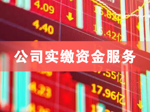洮南公司实缴资金服务