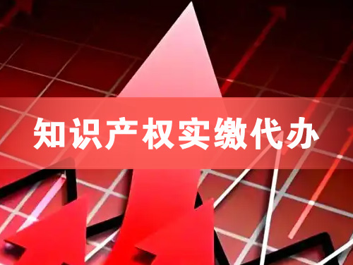 洮南知识产权实缴资本代办